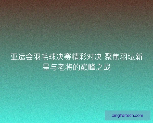 亚运会羽毛球决赛精彩对决 聚焦羽坛新星与老将的巅峰之战