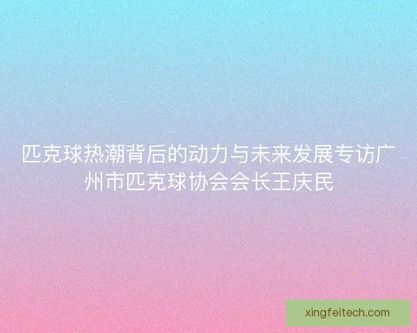 匹克球热潮背后的动力与未来发展专访广州市匹克球协会会长王庆民